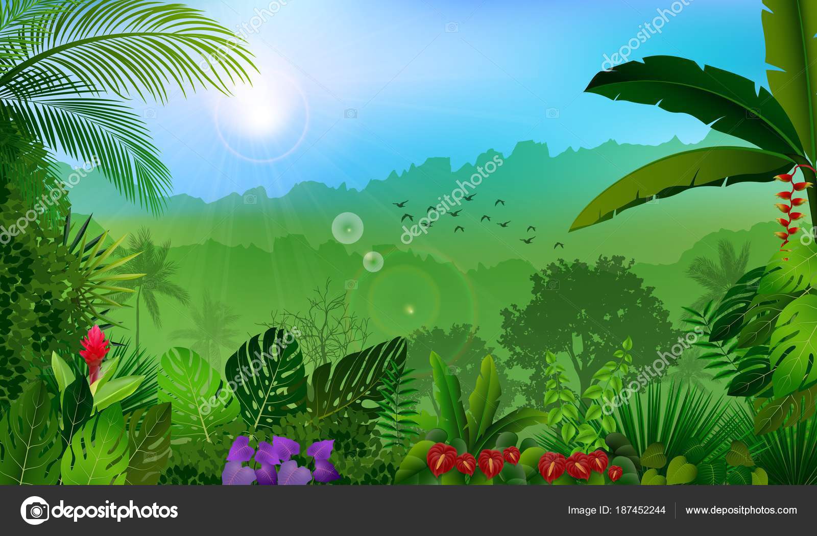 vector illustration morning jungle rainforest background stock