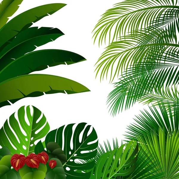 Vector Illustration Tropical Jungle White Background — Stock Vector