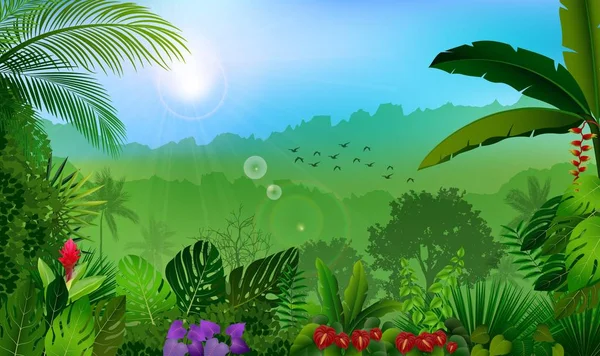 Ilustración Vectorial Morning Jungle Rainforest Background — Archivo Imágenes Vectoriales
