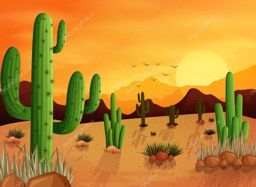 Fondo Paisaje Desierto Con Cactus — Vector de stock ...
