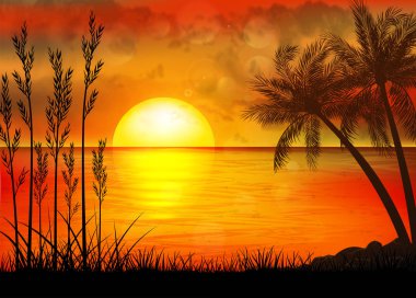 Palm Trees ile Tropik Günbatımı