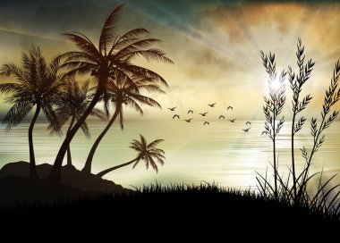 Sunrise 'ın sabah sahili canlandırması.