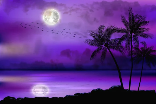 Illustration Des Tropischen Strandes Bei Nacht — Stockvektor