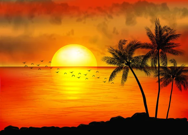 Tropisk Solnedgång Med Palmer — Stock vektor