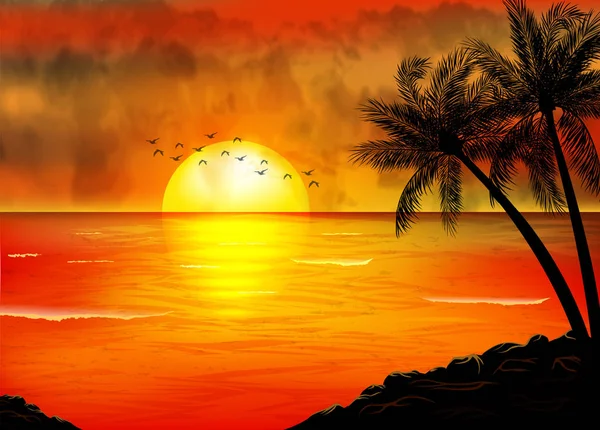 Sebuah Tropical Sunset Dengan Palm Trees - Stok Vektor