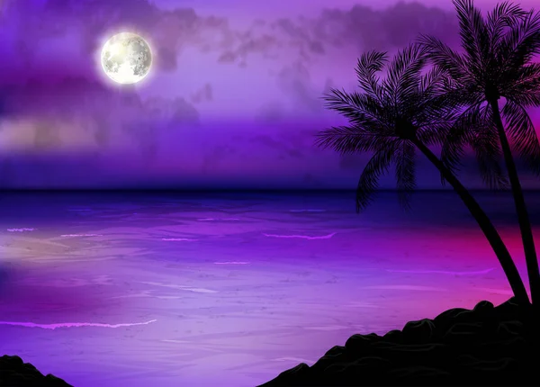 Illustration Des Tropischen Strandes Bei Nacht — Stockvektor
