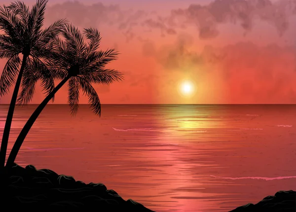 Тропічний Захід Сонця Або Схід Сонця Пальмовими Деревами — стоковий вектор