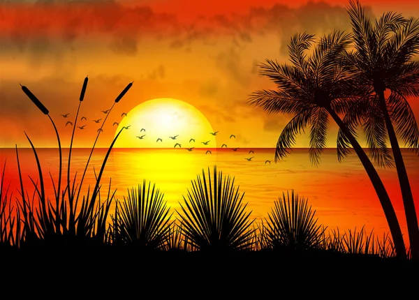 Una Puesta Sol Tropical Con Palmeras — Vector de stock