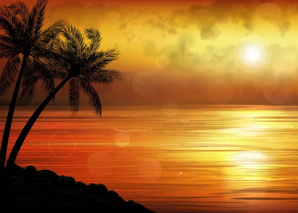 Apus Tropical Sau Răsărit Soare Palmieri — Vector de stoc