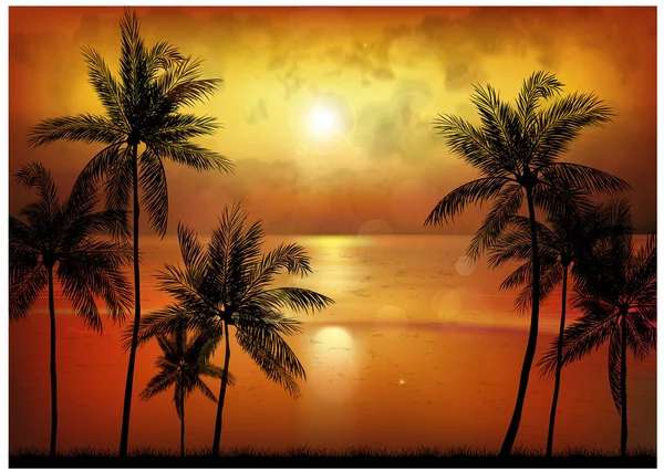 Ein Tropischer Sonnenuntergang Oder Sonnenaufgang Mit Palmen — Stockvektor