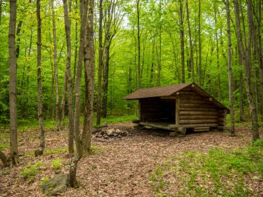 leanto sığınak adirondacks içinde