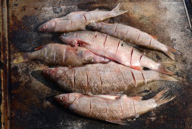 Kızartma tepsisindeki sıcak balık