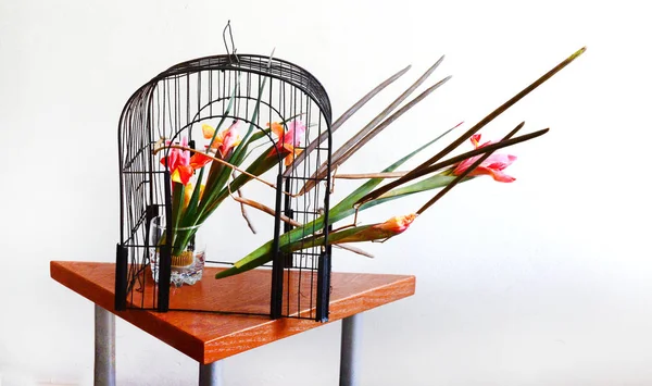 Ikebana Układania Kwiatów Sofii — Zdjęcie stockowe