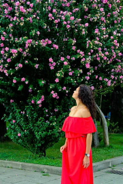 Брюнетка смотрит на розовые цветы на кусте — стоковое фото