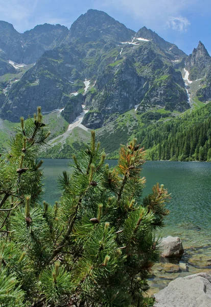 Jezioro Morskie Oko Czyli Oko Morza Zachodnie Karpaty Tatrzański Park — Zdjęcie stockowe