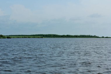 Panorama, Kolkheti Ulusal Parkı 'nın bataklıklarında Churia Nehri' nin vahşi manzarası, Gürcistan 'ın yeşil manzarası..