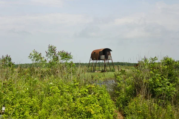 Kolkheti National Park. Ranger house view. The wildlife of Georgia country. Summer landscape. Park located in Samegrelo-Zemo Svaneti and Guria.