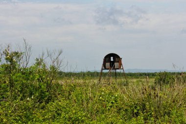 Kolkheti Ulusal Parkı. Ranger evi manzaralı. Gürcistan 'ın vahşi yaşamı. Yaz, yeşil manzara. Samegrelo-Zemo Svaneti ve Guria 'daki park. Panorama, ulusal park alanındaki Pichori nehrinin vahşi manzarası.