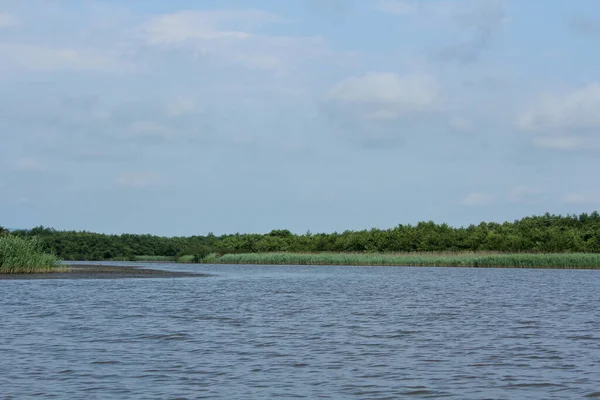 Панорама Дикий Вид Річку Чурія Болотах Національного Парку Колхеті Багато — стокове фото