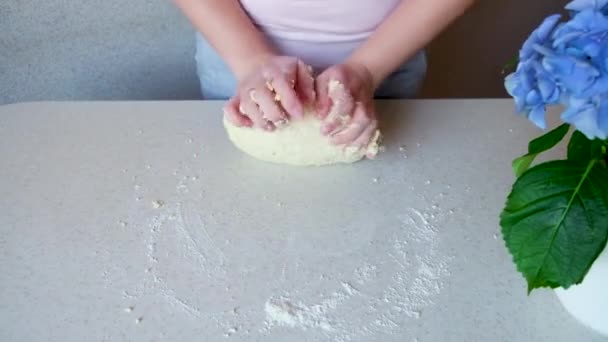 女孩用手揉搓面团 自制饼干 成份和准备阶段 烹调烘焙和糖果的步骤 — 图库视频影像