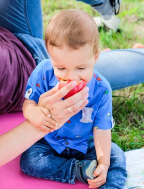Küçük çocuk piknik zamanı babasının elinden bir elma yer. Yaşam tarzı. Mutlu bir ailenin samimi anları. Boş zaman, çocukluk, ebeveynlik ve birlikte hayatın tadını çıkarmak. Çocuk maması.