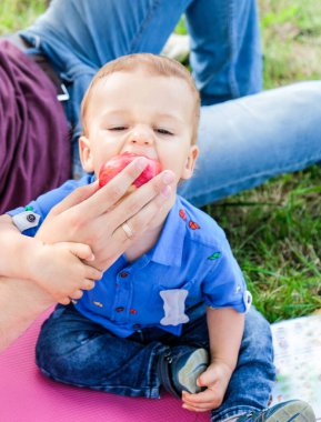 Komik küçük çocuk dışarıda piknik yaparken babasının elinden elma yiyor. Yaşam tarzı. Mutlu bir ailenin samimi anları. Boş zaman, çocukluk, ebeveynlik ve birlikte hayatın tadını çıkarmak. Çocuk maması.
