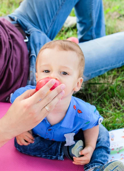 Funny little boy eats an apple from his father\'s hands on outdoor picnic time. Lifestyle. Sincere moments of happy family. Leisure, childhood, parenthood and enjoying life together concept.