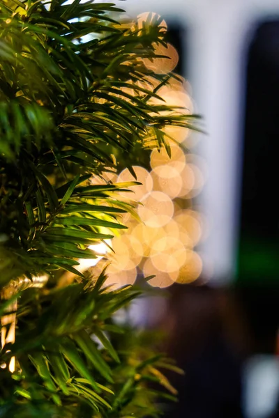 Tannenzweige Defokussierter Yellow Bokeh Hintergrundeffekt Neujahr Boke Lights Weihnachten Verschwommene — Stockfoto