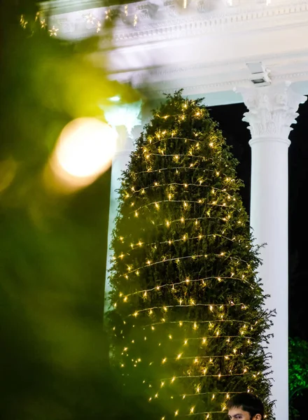 Ramas Abeto Efecto Fondo Bokeh Amarillo Desenfocado Árbol Navidad Luces Imágenes de stock libres de derechos