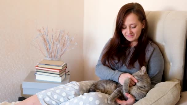 Frau Streichelt Und Spielt Mit Grauer Katze Bett Kätzchen Beißt — Stockvideo