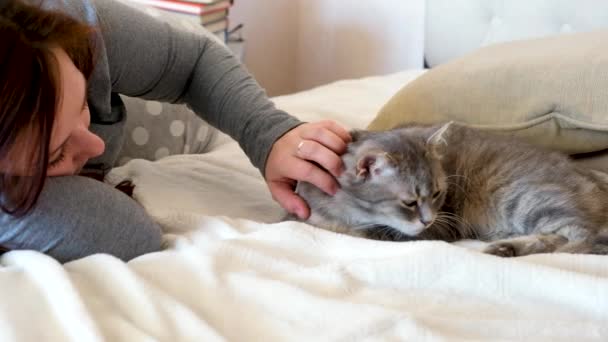 女はベッドの上でグレーの猫を撫でて抱きかかえた 緑の目が休んで子猫 ハッピーペット ホーム — ストック動画