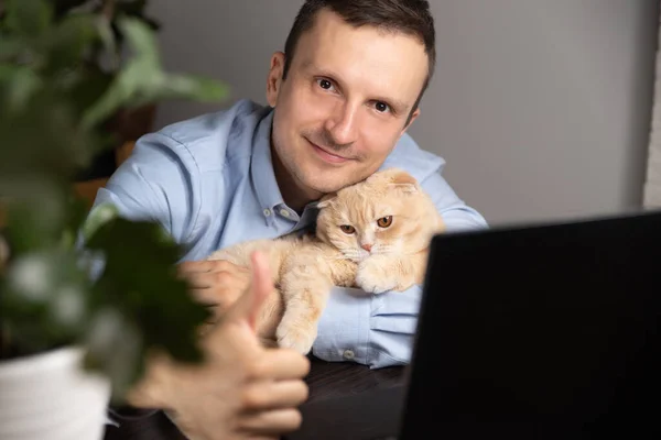 A businessman is sitting at a Desk in the office and uses a laptop, next to a red cat.Remote work at home during the pandemic.In the background is a home plant.A person works and blogs. Instagram