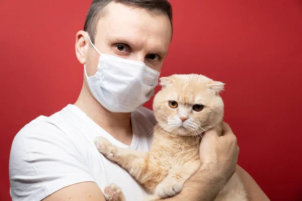 Man in protective face mask and cat wearing medical mask too. Chinese Coronavirus disease COVID-19 is dangerous for pets, Dangerous Pet Kissing concept