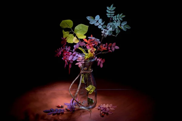 Autumn still life. Bouquet in a vase isolated on a black background Royalty Free Stock Images