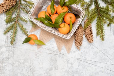 Yılbaşı yeni yıl kompozisyon mandalina çam kozalakları dokulu beyaz zemin üzerinde bir sepet içinde.
