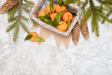 Yılbaşı yeni yıl kompozisyon mandalina çam kozalakları dokulu beyaz zemin üzerinde bir sepet içinde.