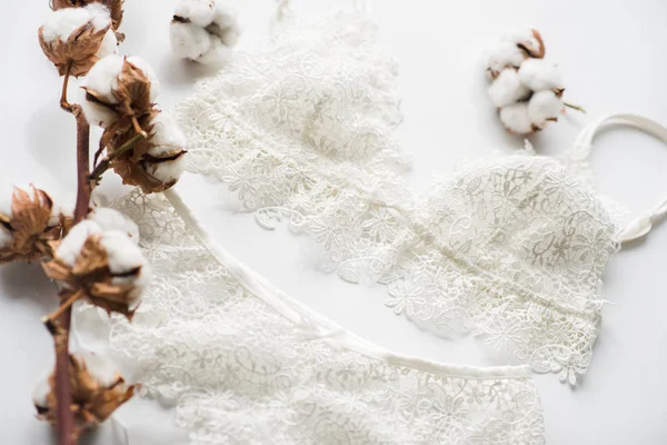 Conjunto de lencería, beige con cintas blancas negras. Sobre fondo blanco sobre fondo blanco decorado con flores de algodón — Foto de Stock