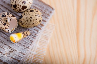 Bahar arka plan küçük bıldırcın yumurtası ile dokulu. Eko ürünler. Yatay biçimi