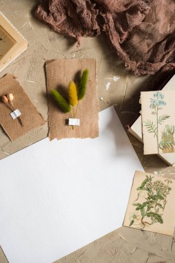 Kraft kağıt üzerinde somut bir backgroundpostcard sulak, kurutulmuş lavanta çiçekleri, defter, kitap notları için kalem ve bahar yaz resimleri yatıyordu, en iyi görünüm paylamak