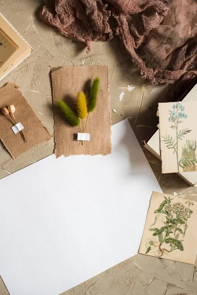 Flay lay, vista superior del herbario, flores secas de lavanda, cuaderno, libro de notas, lápiz y fotos de primavera de verano sobre un fondo de concretoPostal sobre papel kraft — Foto de Stock