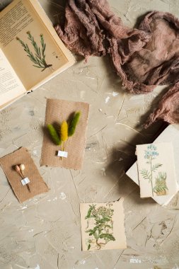 Kraft kağıt üzerinde somut bir backgroundpostcard sulak, kurutulmuş lavanta çiçekleri, defter, kitap notları için kalem ve bahar yaz resimleri yatıyordu, en iyi görünüm paylamak