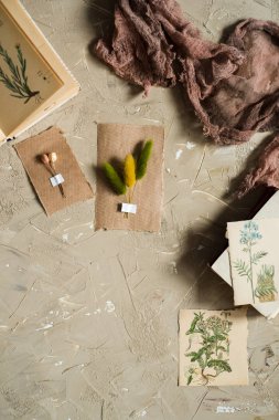 Kraft kağıt üzerinde somut bir backgroundpostcard sulak, kurutulmuş lavanta çiçekleri, defter, kitap notları için kalem ve bahar yaz resimleri yatıyordu, en iyi görünüm paylamak