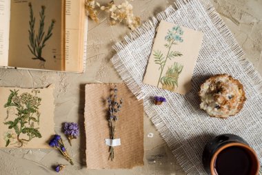 Kraft kağıt üzerinde somut bir backgroundpostcard sulak, kurutulmuş lavanta çiçekleri, defter, kitap notları için kalem ve bahar yaz resimleri yatıyordu, en iyi görünüm paylamak