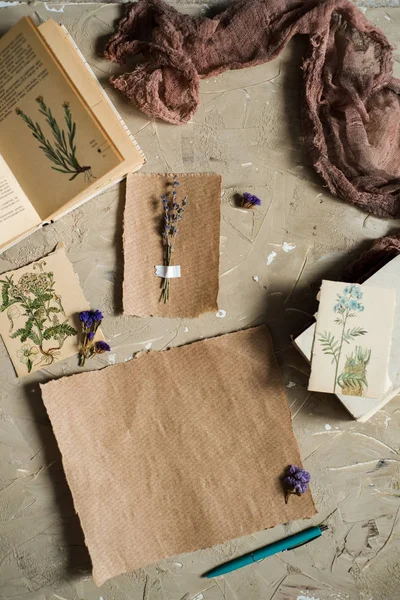 Flay lay, vista superior del herbario, flores secas de lavanda, cuaderno, libro de notas, lápiz y fotos de primavera de verano sobre un fondo de hormigón. Postal sobre papel — Foto de Stock