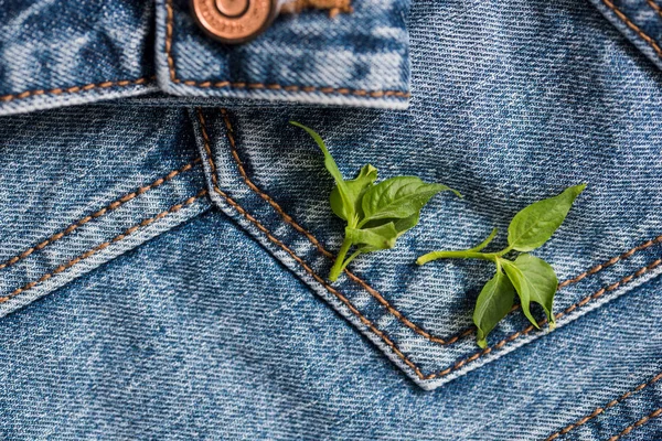 Jeans pocket on a jacket with a sleeve a background, spring flowers, green leaves on it — Stock Photo, Image