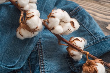 Ayrıntılar denim ceket, kurutulmuş pamuk flowersback ceket kot doku ahşap arka plan