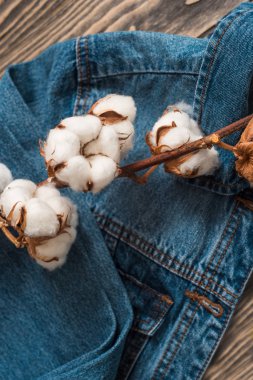 Ayrıntılar denim ceket, kurutulmuş pamuk flowersback ceket kot doku ahşap arka plan