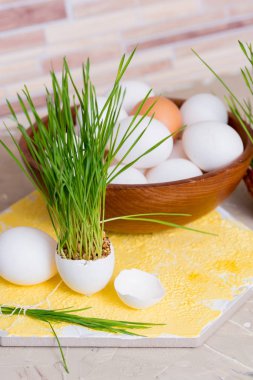 Yumurta kabuğu, sığ odak, sarı arka plan, bir sepet içinde beyaz yumurta bir ahşap arka plan üzerinde büyüyen Paskalya çimen