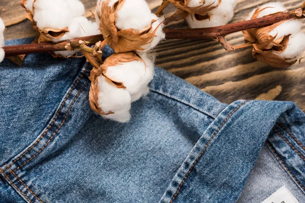 Details denim jacket, dried cotton flowersback jacket jeans texture-wooden background — Stock Photo, Image