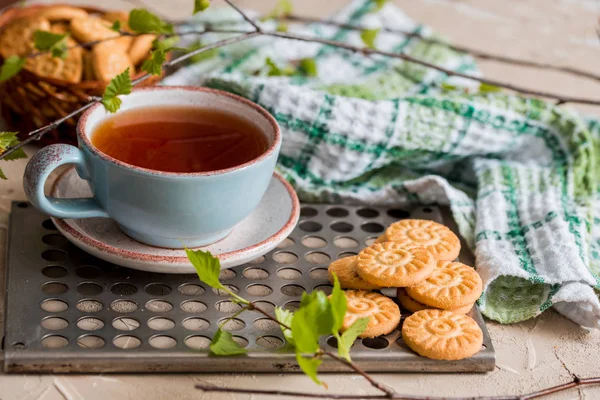 Зелений чай в чашці. Чашка чаю з круглим печивом на зеленій лляній картатій серветці і вінтажний залізний лоток, зелене листя на гілці берези, весняні бутони. Ранковий сніданок . — стокове фото